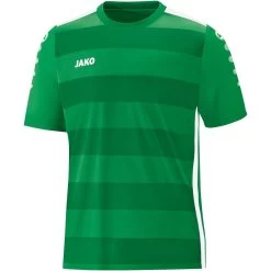 Jako Trikot Celtic 2.0 KA Sportgrün/weiß
