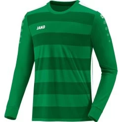 Jako Trikot Celtic 2.0 LA Sportgrün/weiß