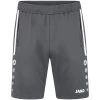 Jako Trainingsshort Allround Anthra Light